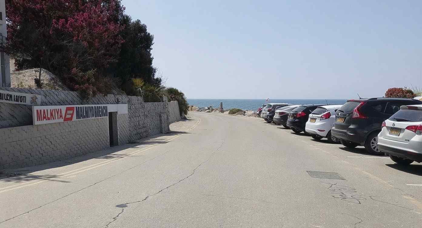 The Local Impact and 2026 Trends